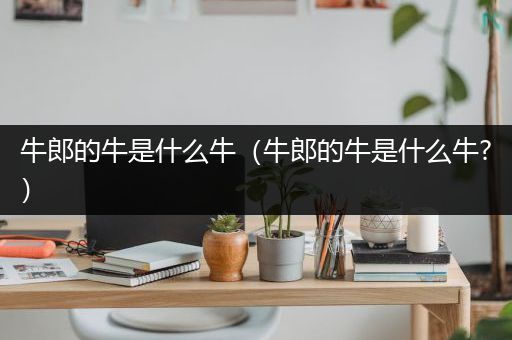牛郎的牛是什么牛（牛郎的牛是什么牛?）